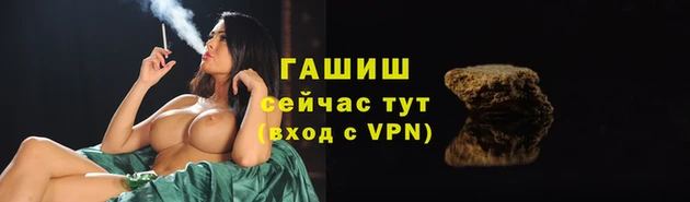 гидропоника Гусиноозёрск
