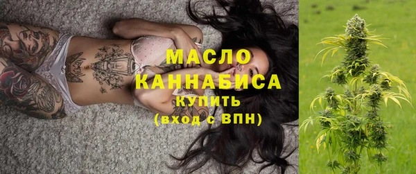 гидропоника Гусиноозёрск