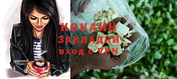 гидропоника Гусиноозёрск