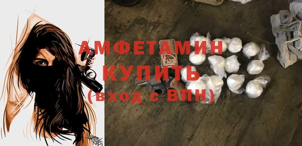 ПСИЛОЦИБИНОВЫЕ ГРИБЫ Гусь-Хрустальный