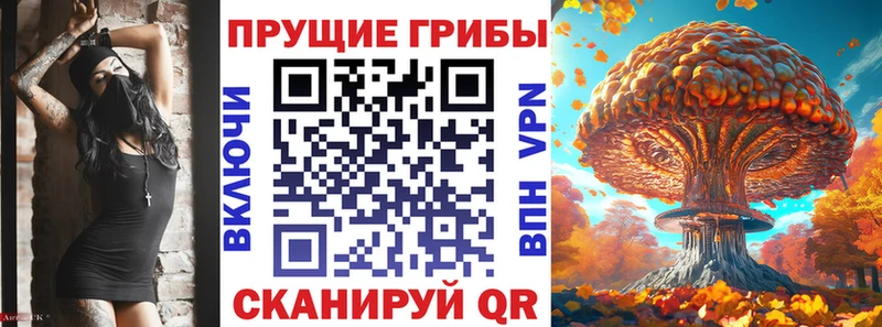 Псилоцибиновые грибы Psilocybe Далматово