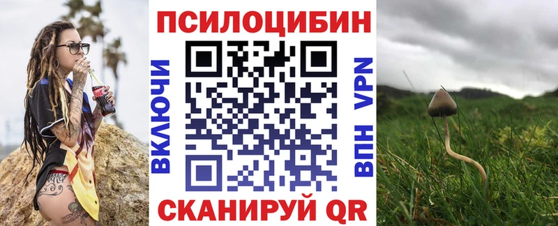 Псилоцибиновые грибы Magic Shrooms  Далматово 