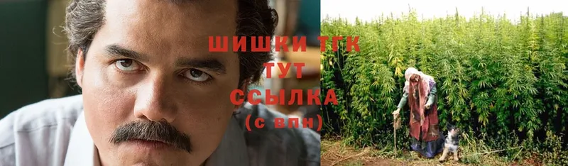 Канабис THC 21%  Далматово 